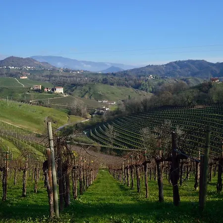 Tami Holidays * Vittorio Veneto