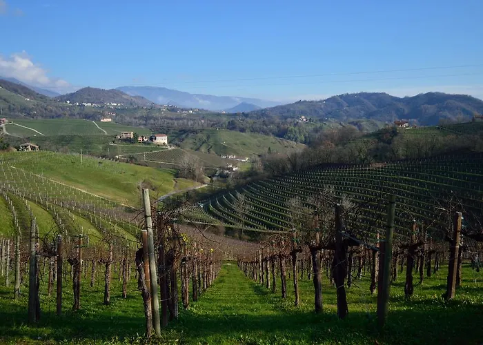 Tami Holidays * Vittorio Veneto